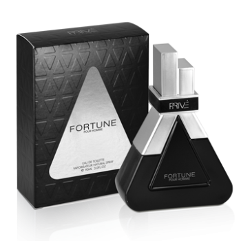 Fortune EDT 90ML мъжки